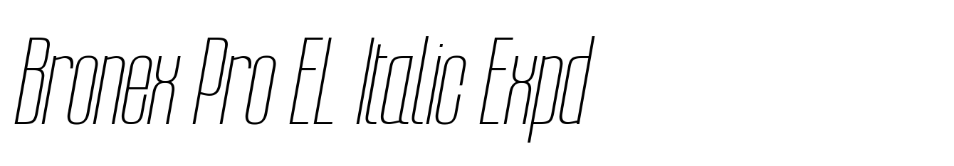 Bronex Pro EL Italic Expd